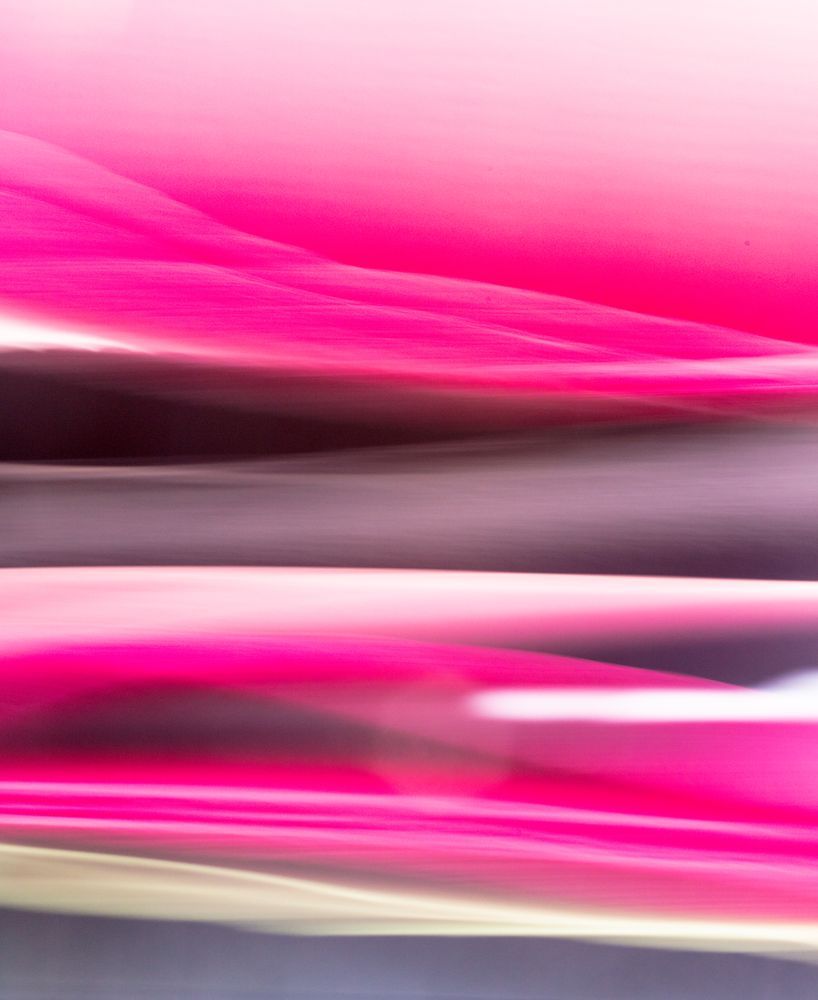 Dancing In Unison 1 artwork