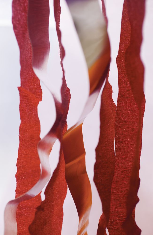 Frayed Nerves 1 artwork