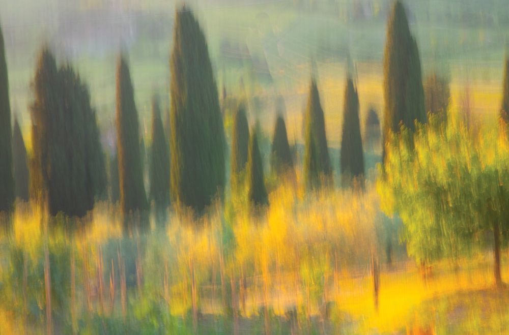 Golden Light 1 artwork