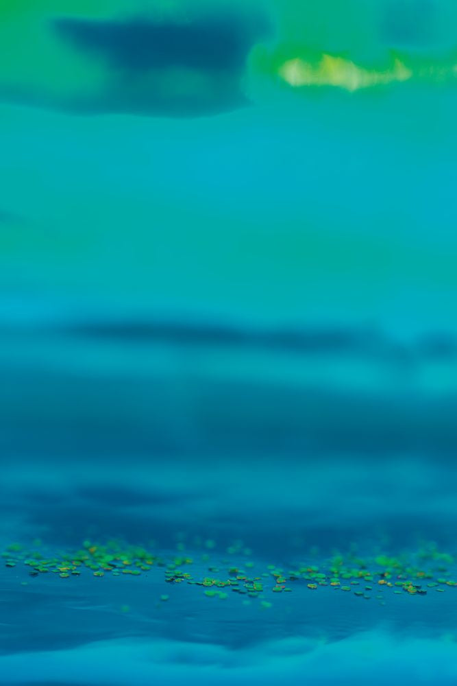 In the Deep Blue 1 artwork