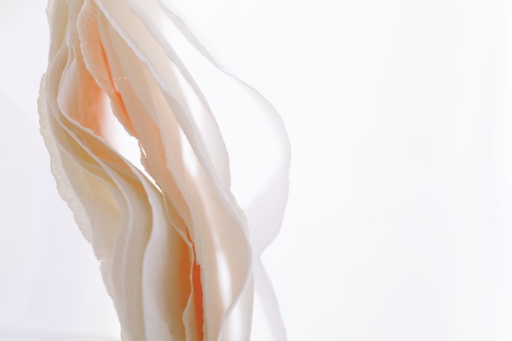 Sinuous Splendor 1 artwork