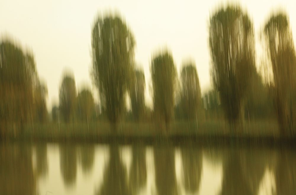 Tree Reflections 1 artwork