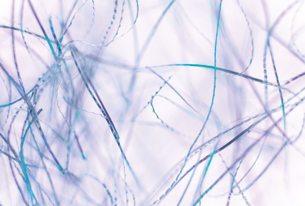 Violet Fibers 1 artwork