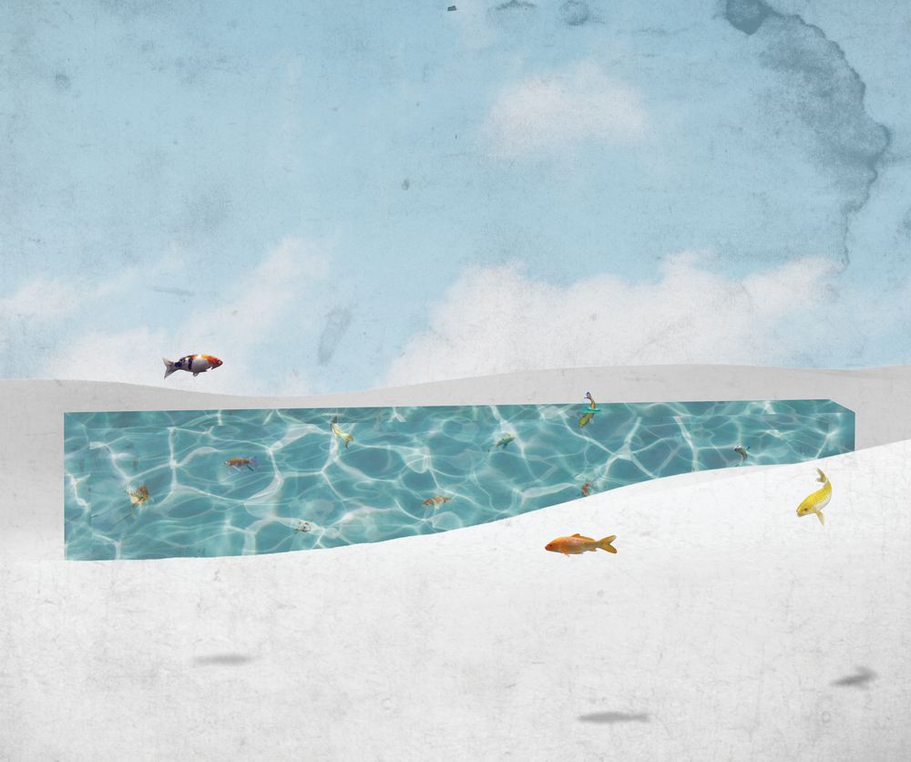 Fish Out of Water 1 artwork