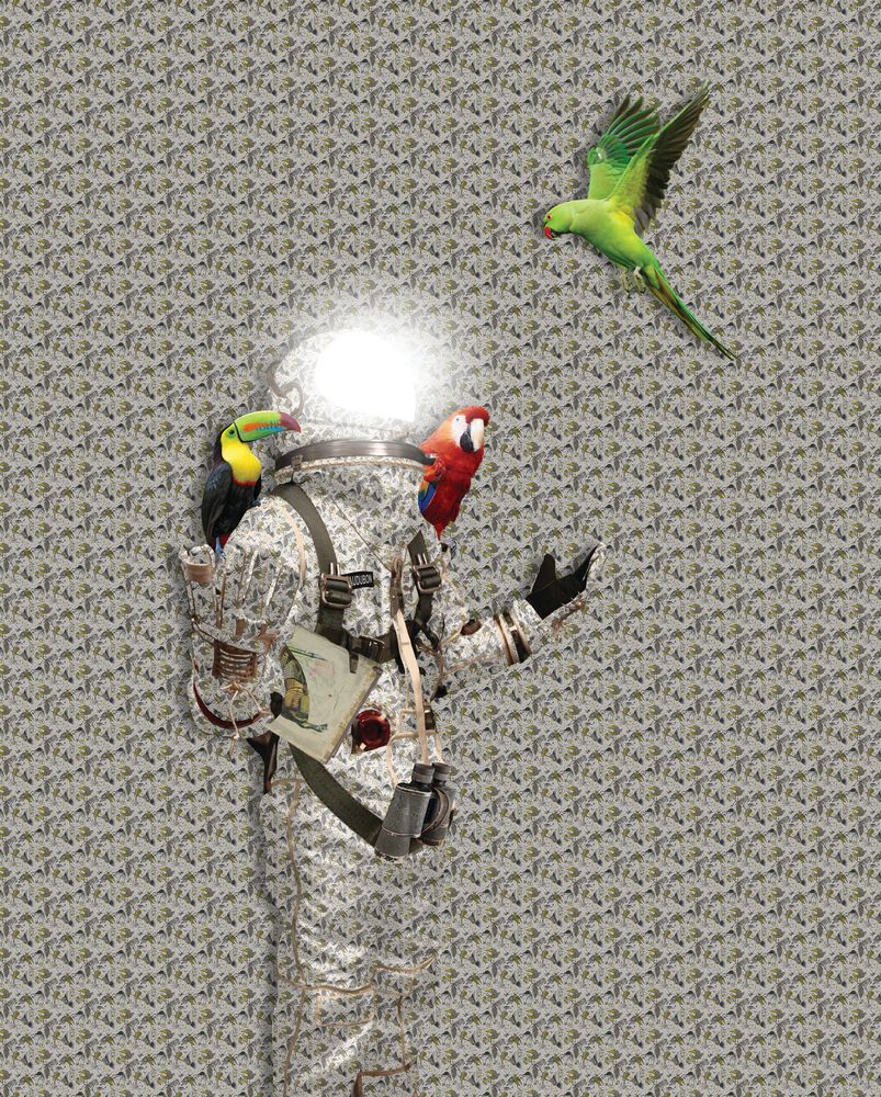 Flight 1 artwork