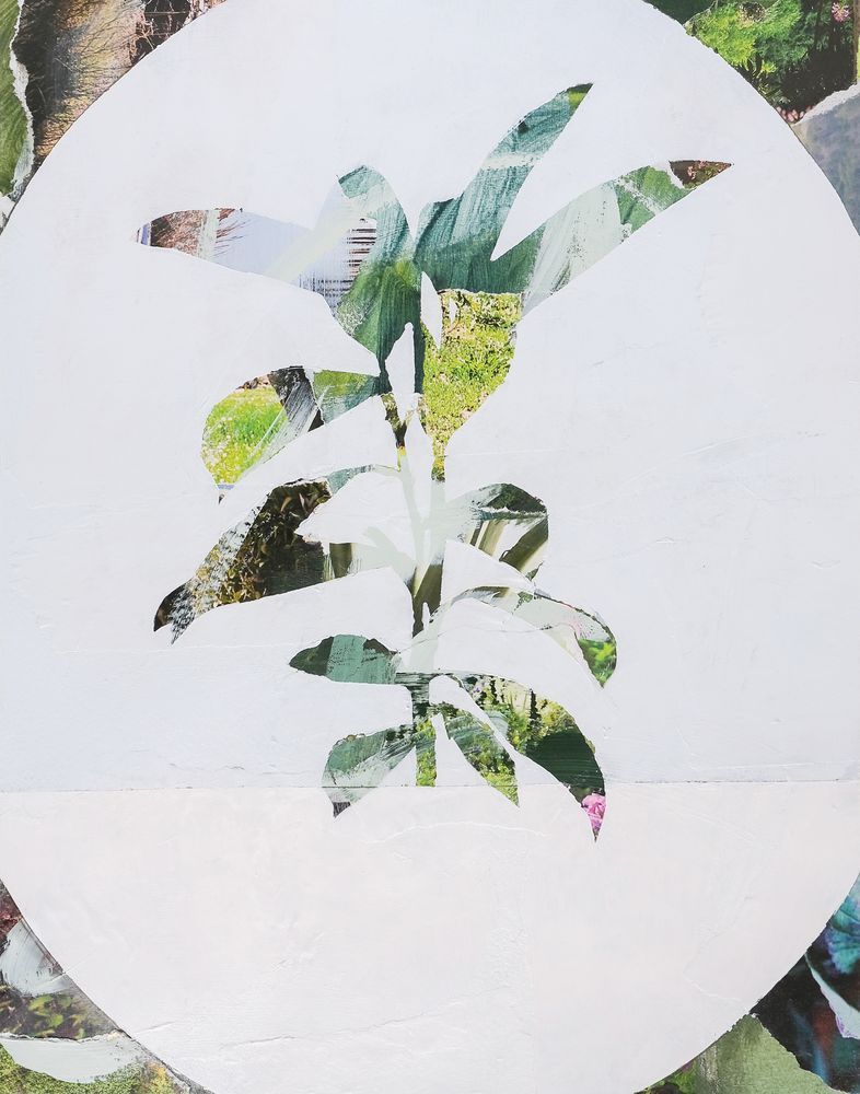 Botanic Vignette 1 artwork