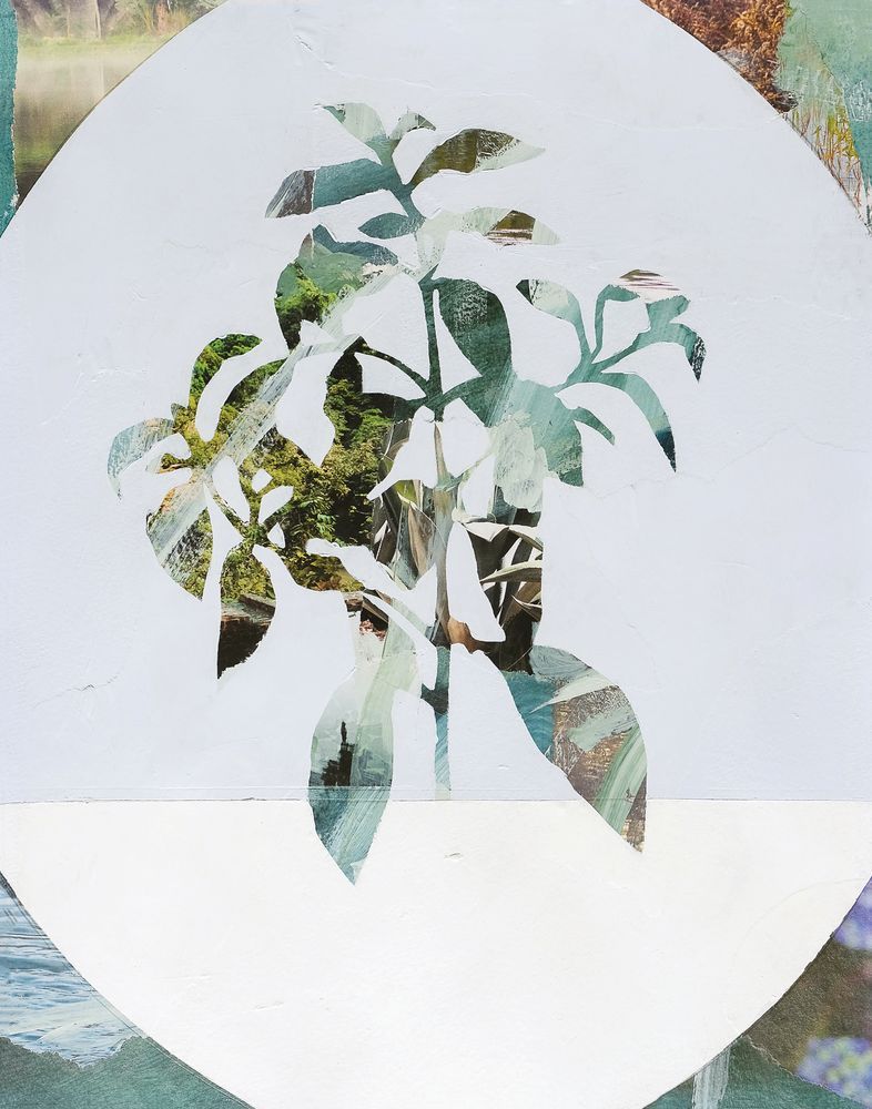 Botanic Vignette 2 artwork