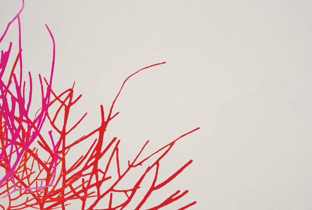 Coral Garden 2 artwork
