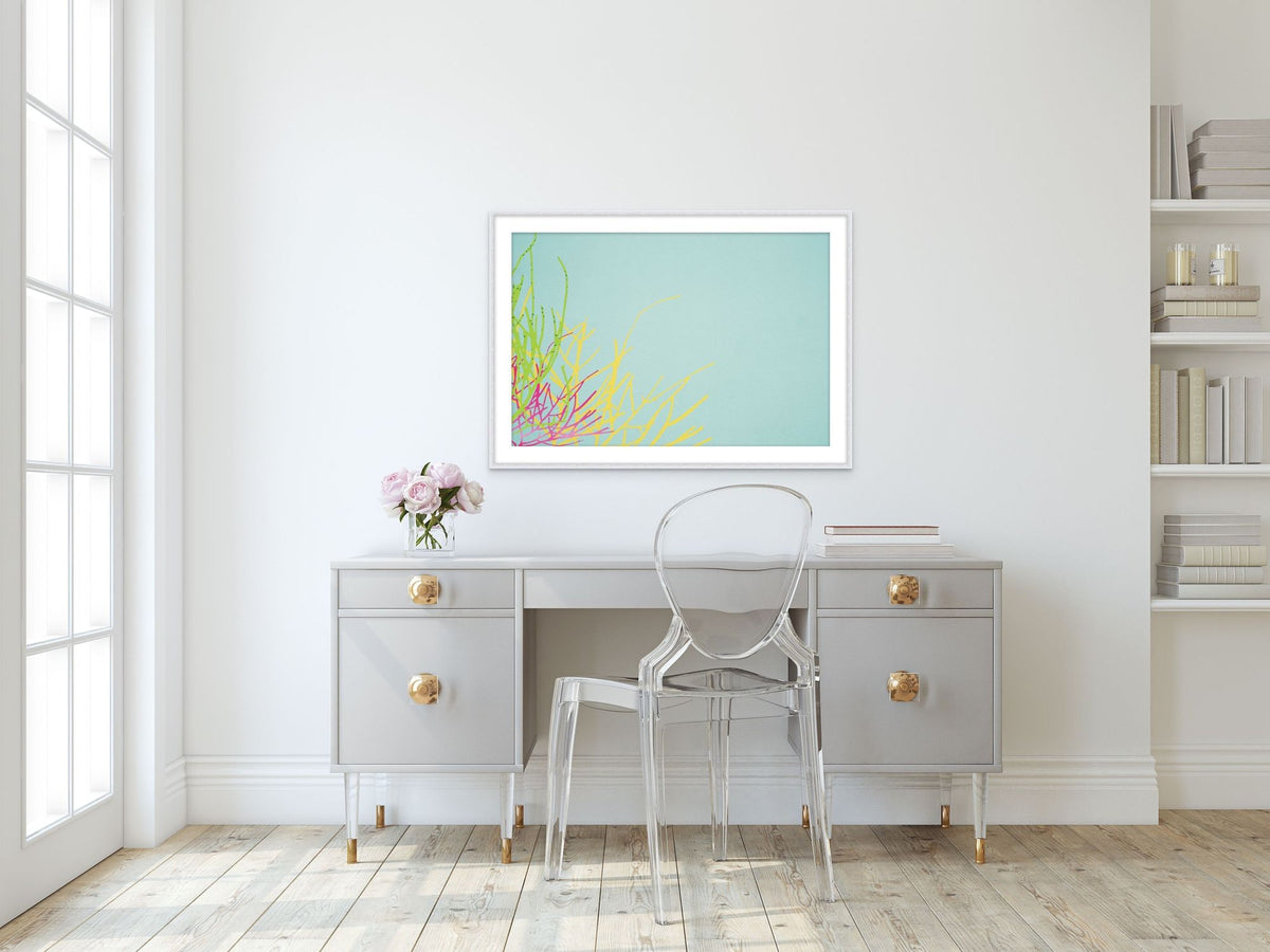 Coral Garden 3 in a room