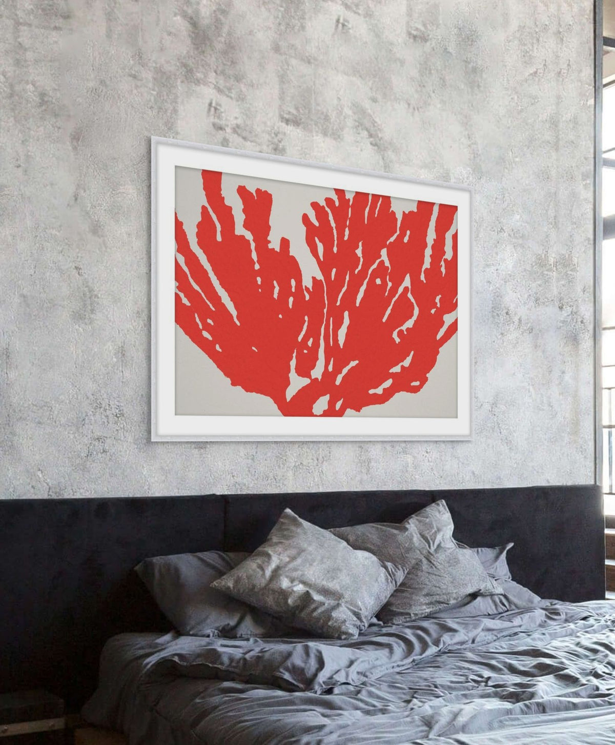 Coral 1 detail