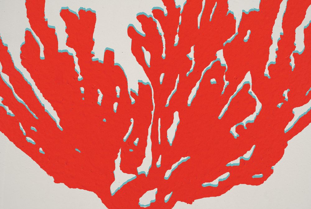 Coral 3 artwork