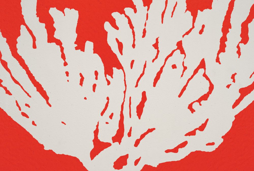 Coral 4 artwork