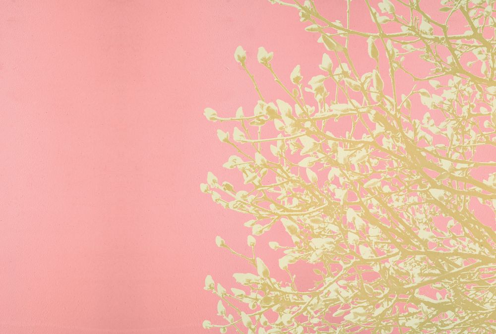 Spring Silhouette 1 artwork