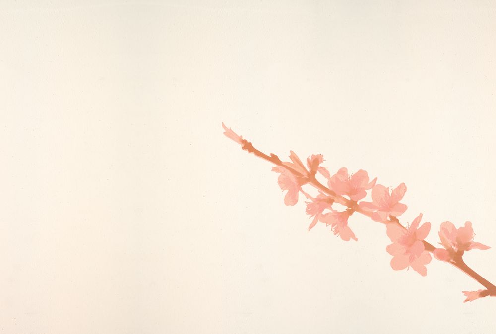 Spring Silhouette 3 artwork