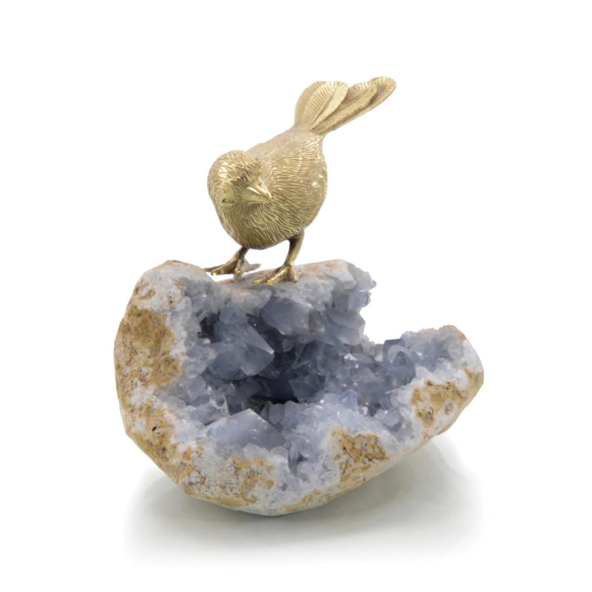 Bird on Celestite Rock II by John Richard | Sutter & Vale