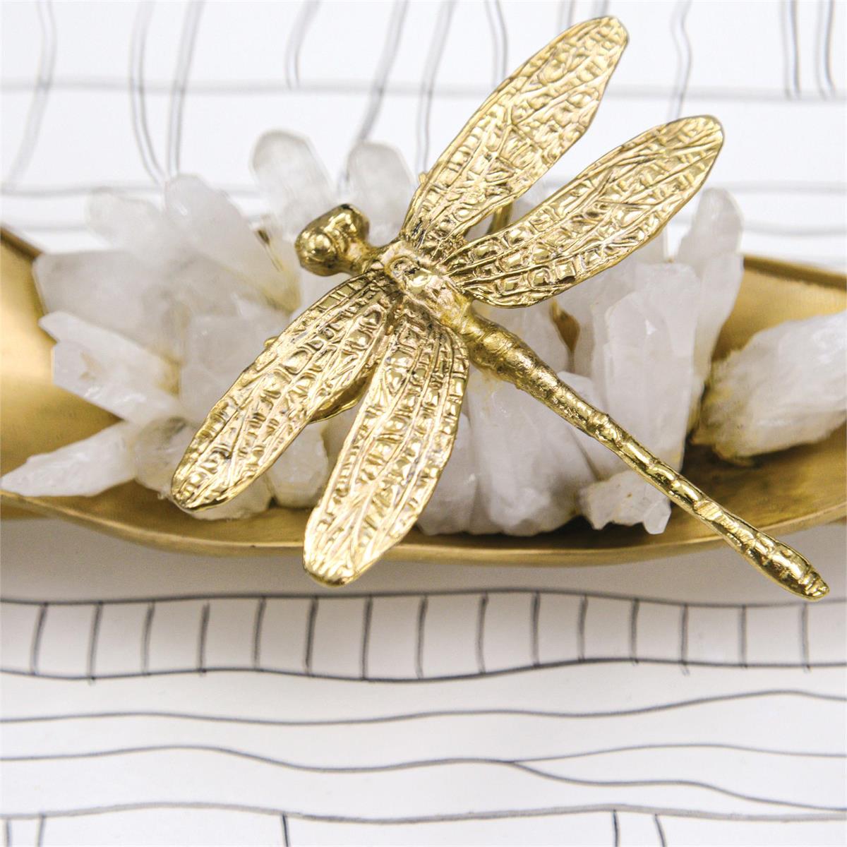 Dragonfly Box – Art by John Richard | Sutter & Vale