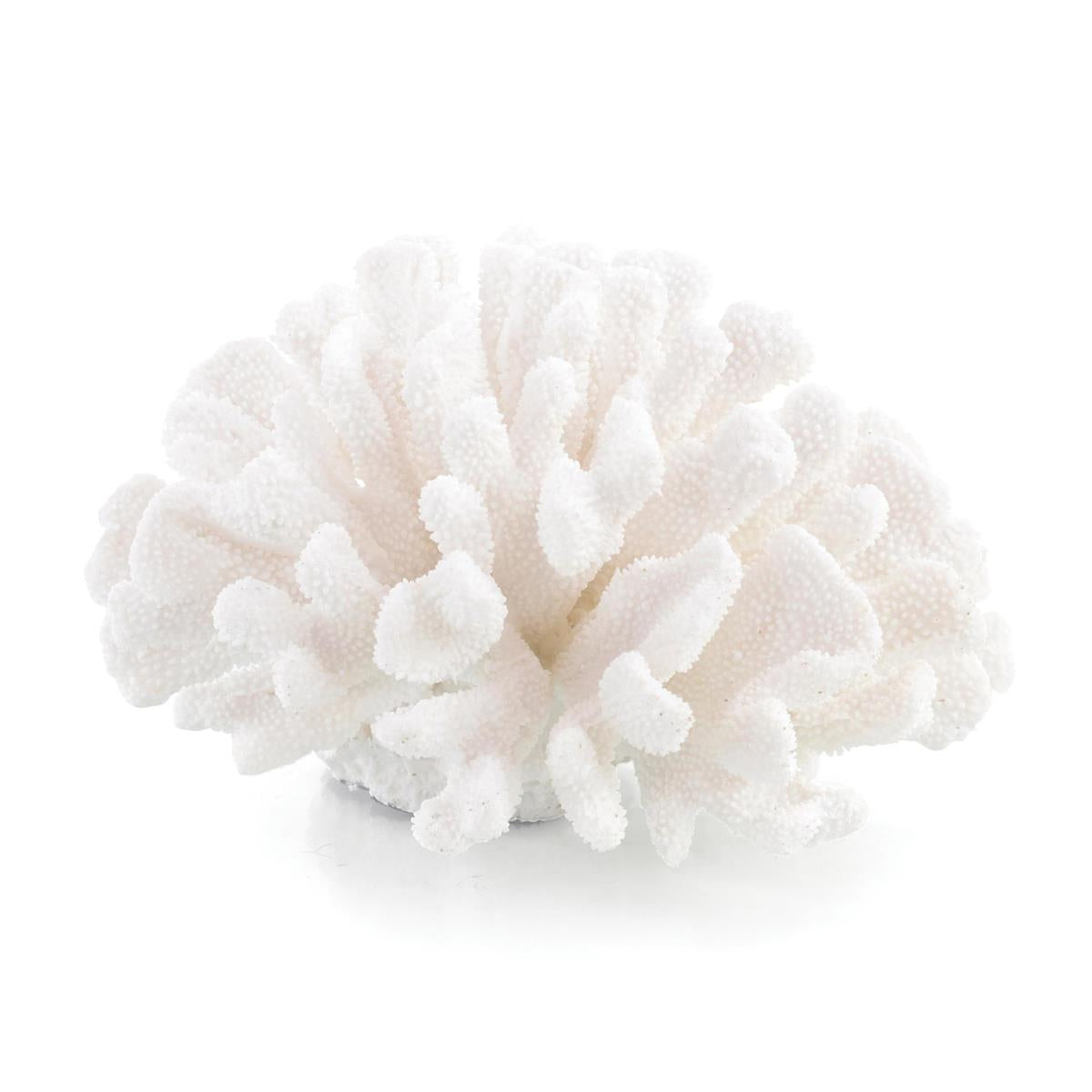 Maldives Coral – Art by John Richard | Sutter & Vale