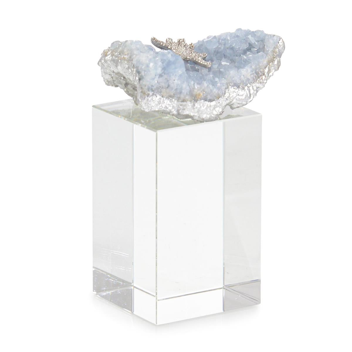 Ocean Floor Sculpture on Crystal Base I – Art by John Richard | Sutter & Vale