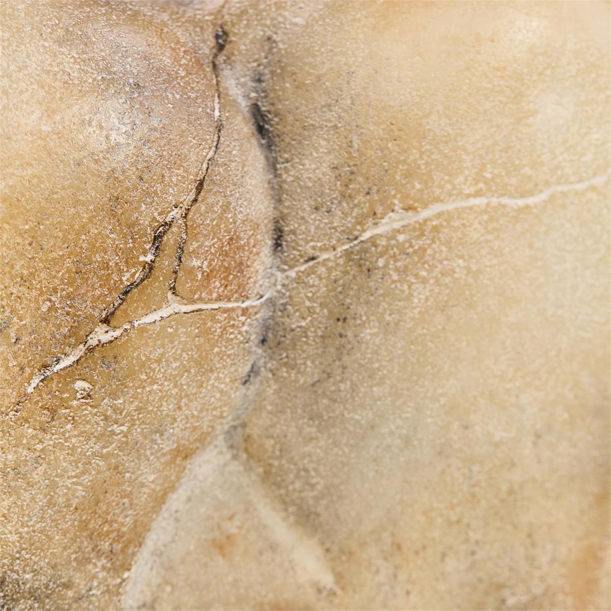 Etruscan Horse Sculpture II – Art by John Richard | Sutter & Vale