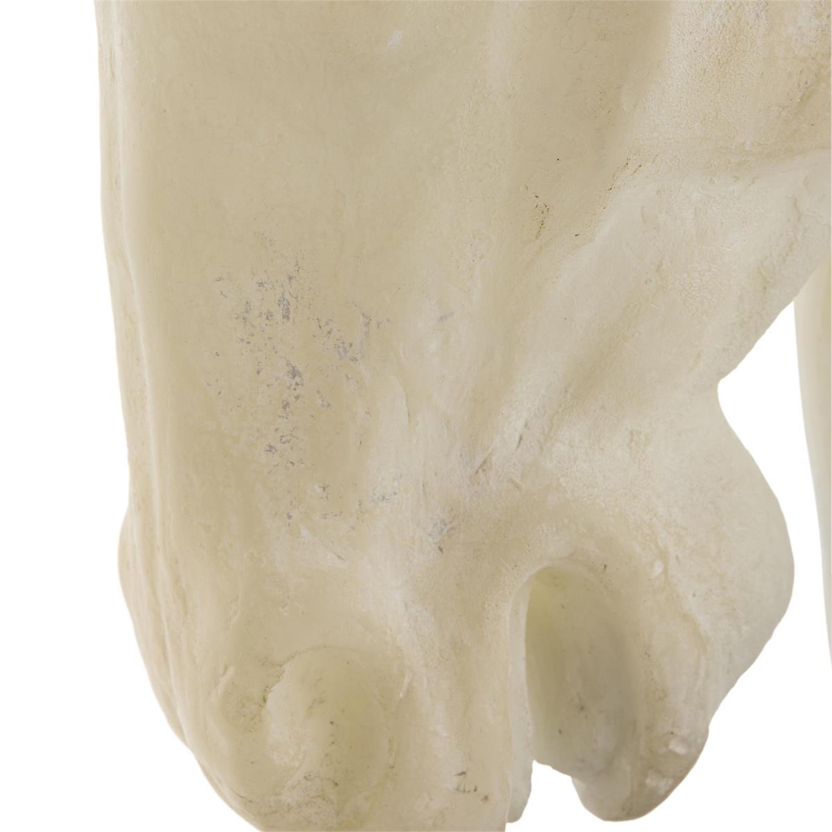 Stallion Bust on Marble – Art by John Richard | Sutter & Vale
