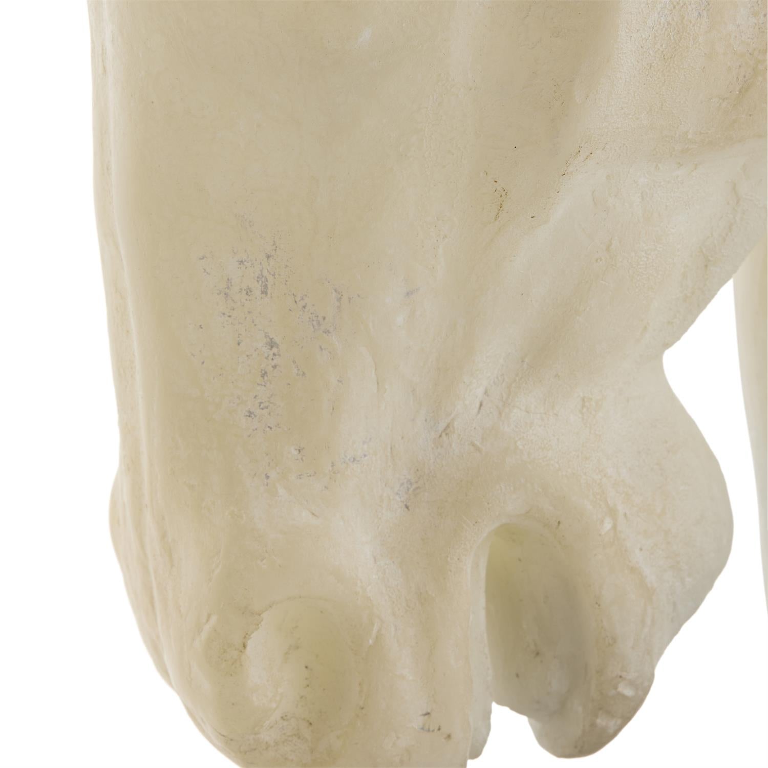 Stallion Bust on Marble