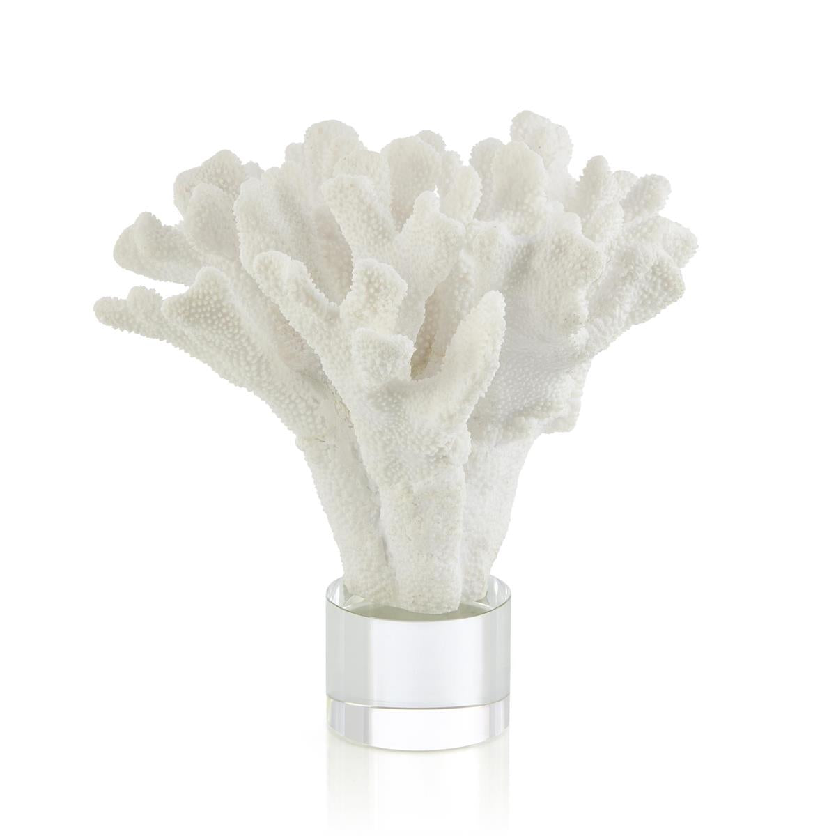 Coral Sculpture on Crystal by John Richard | Sutter & Vale
