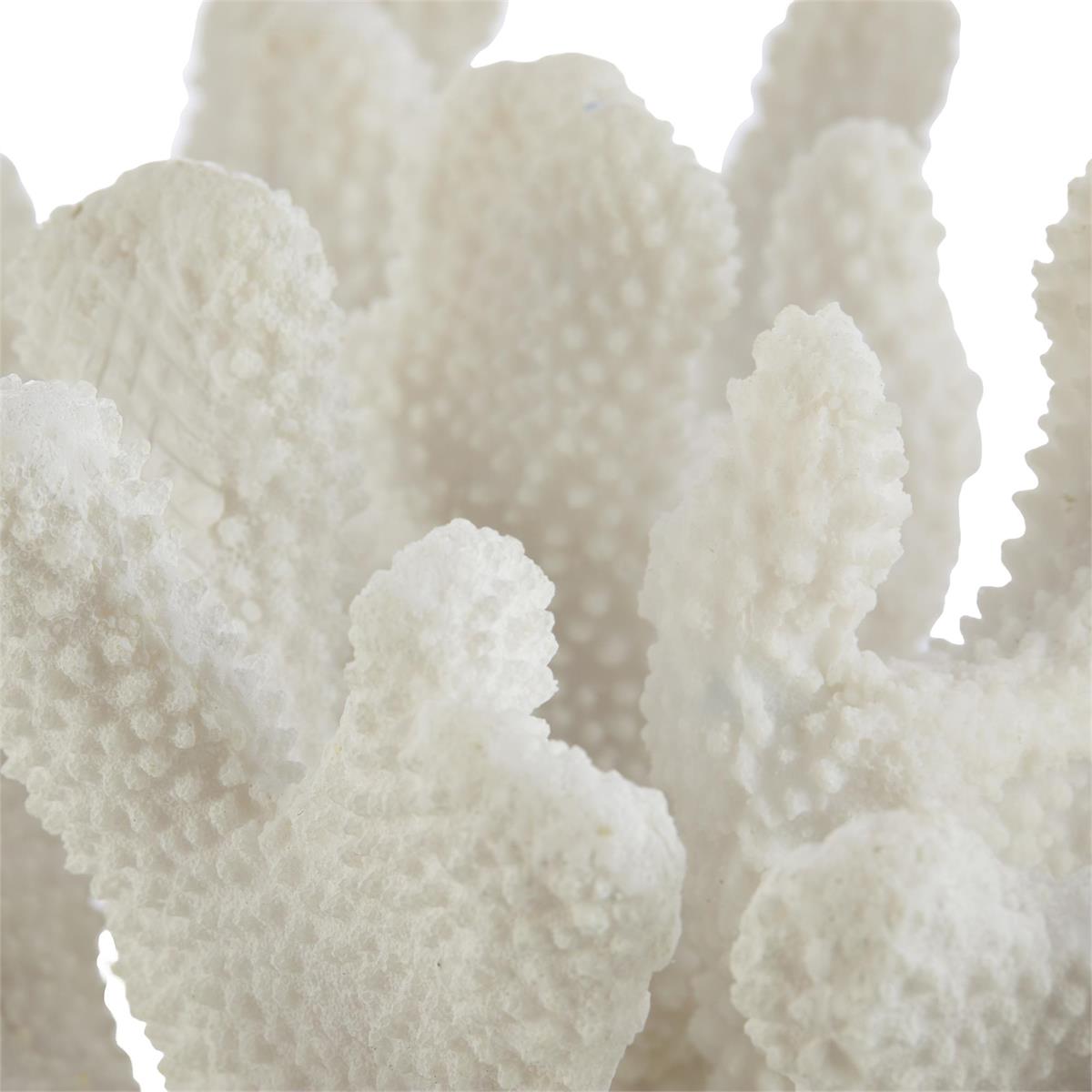 Coral Sculpture on Crystal by John Richard | Sutter & Vale