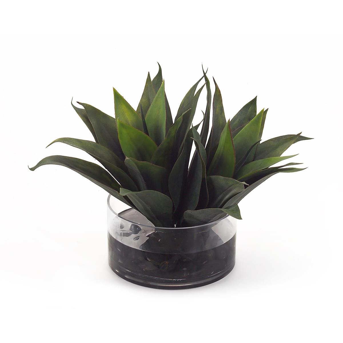 Aqua Agave – Art by John Richard | Sutter & Vale