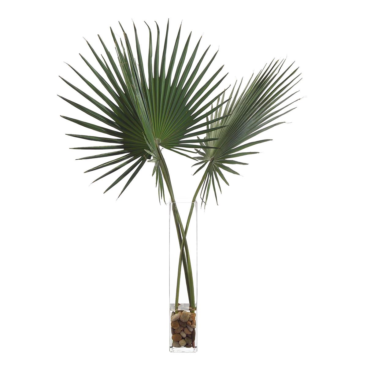 Delta Palmettos – Art by John Richard | Sutter & Vale