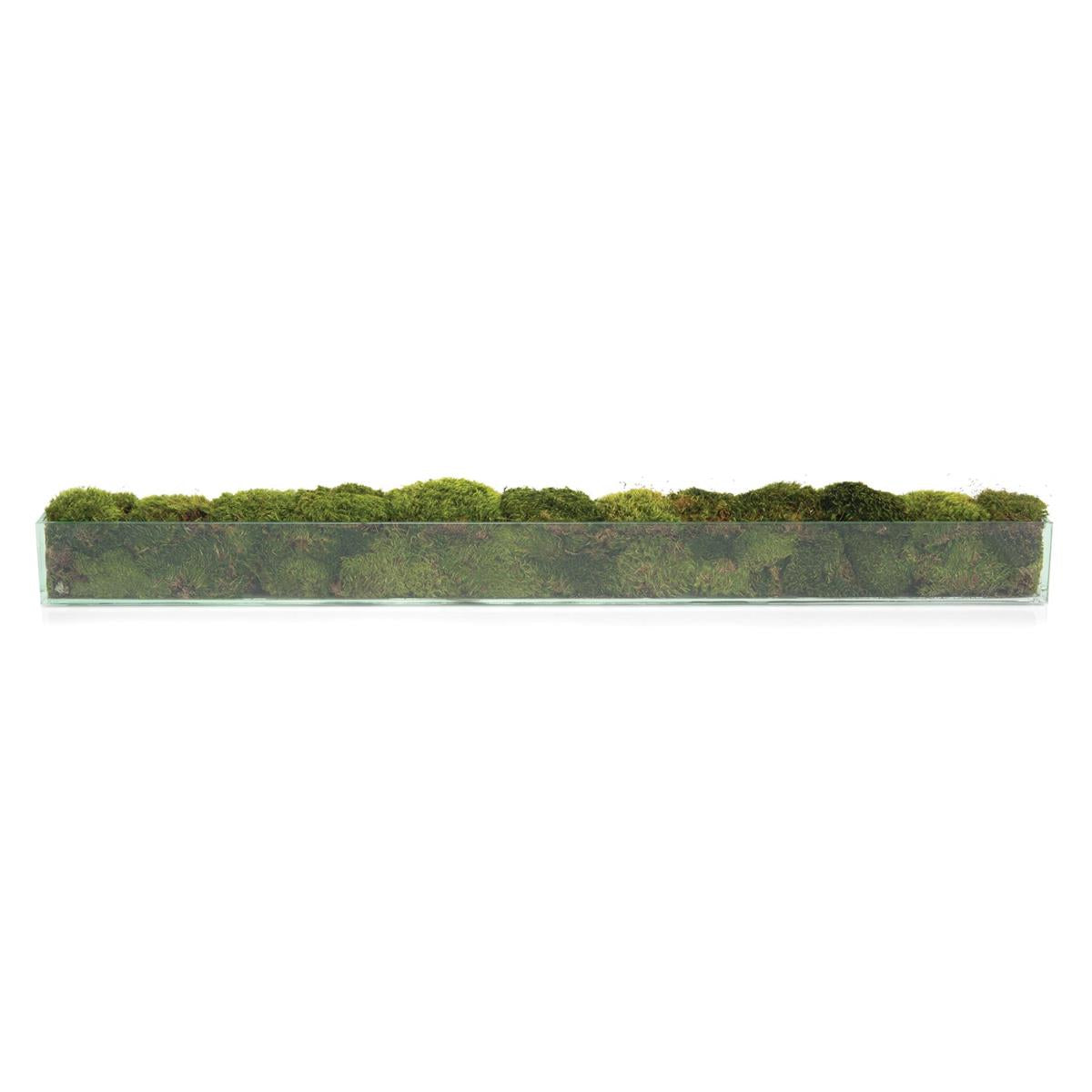 Moss Mounds by John Richard | Sutter & Vale