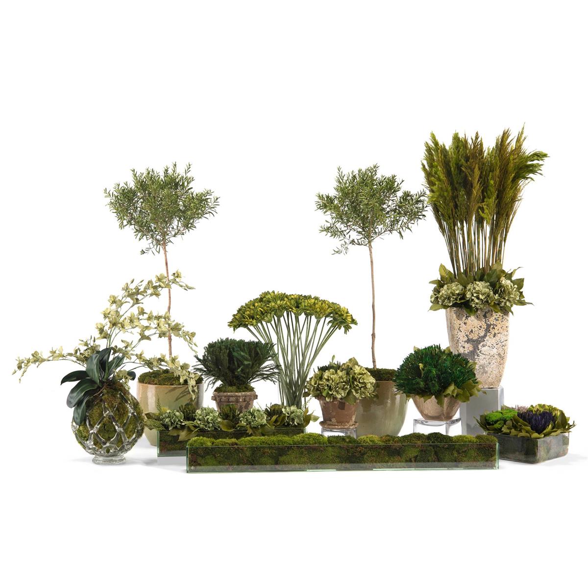 Moss Mounds by John Richard | Sutter & Vale