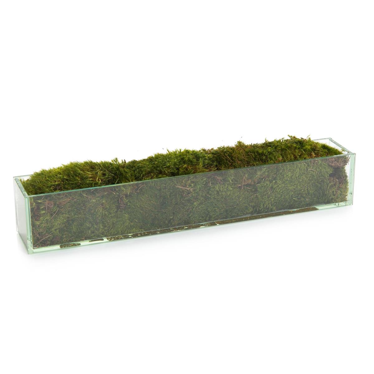 Moss Mound – Art by John Richard | Sutter & Vale