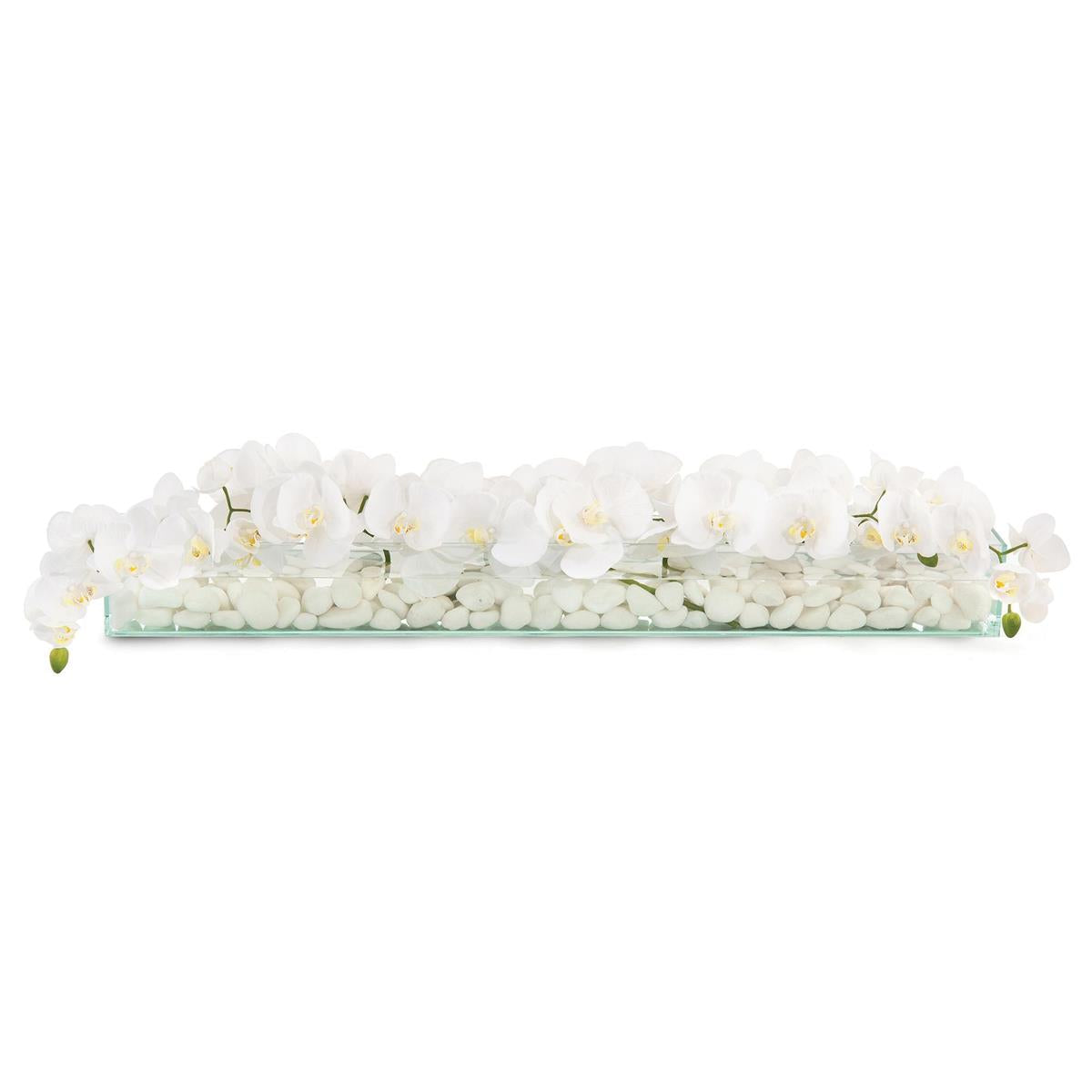 Floating Orchids by John Richard | Sutter & Vale