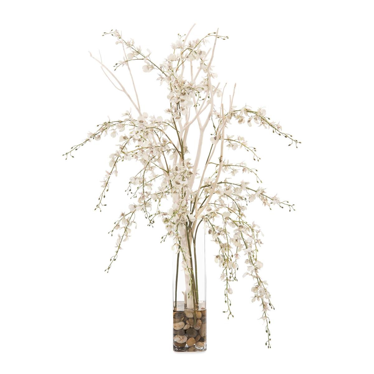 Mitsumata Orchids by John Richard | Sutter & Vale