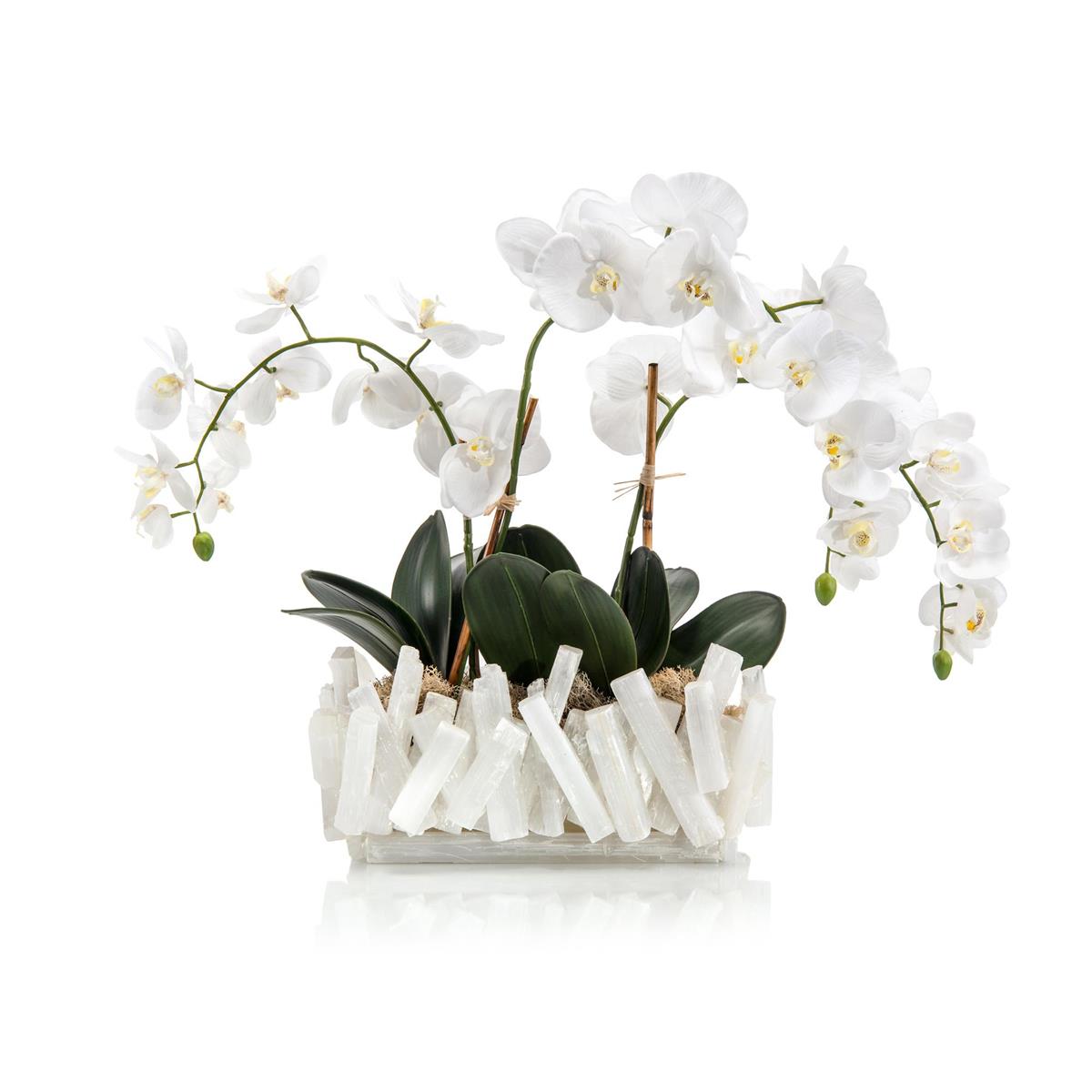 Selenite Orchids by John Richard | Sutter & Vale