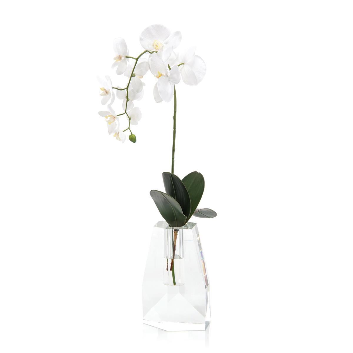 Crystal Orchid by John Richard | Sutter & Vale