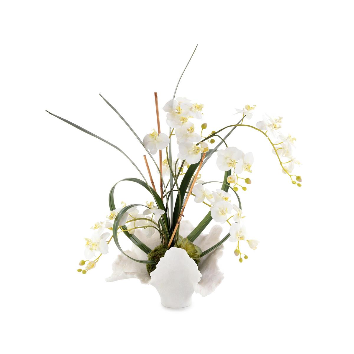 White Orchids by John Richard | Sutter & Vale