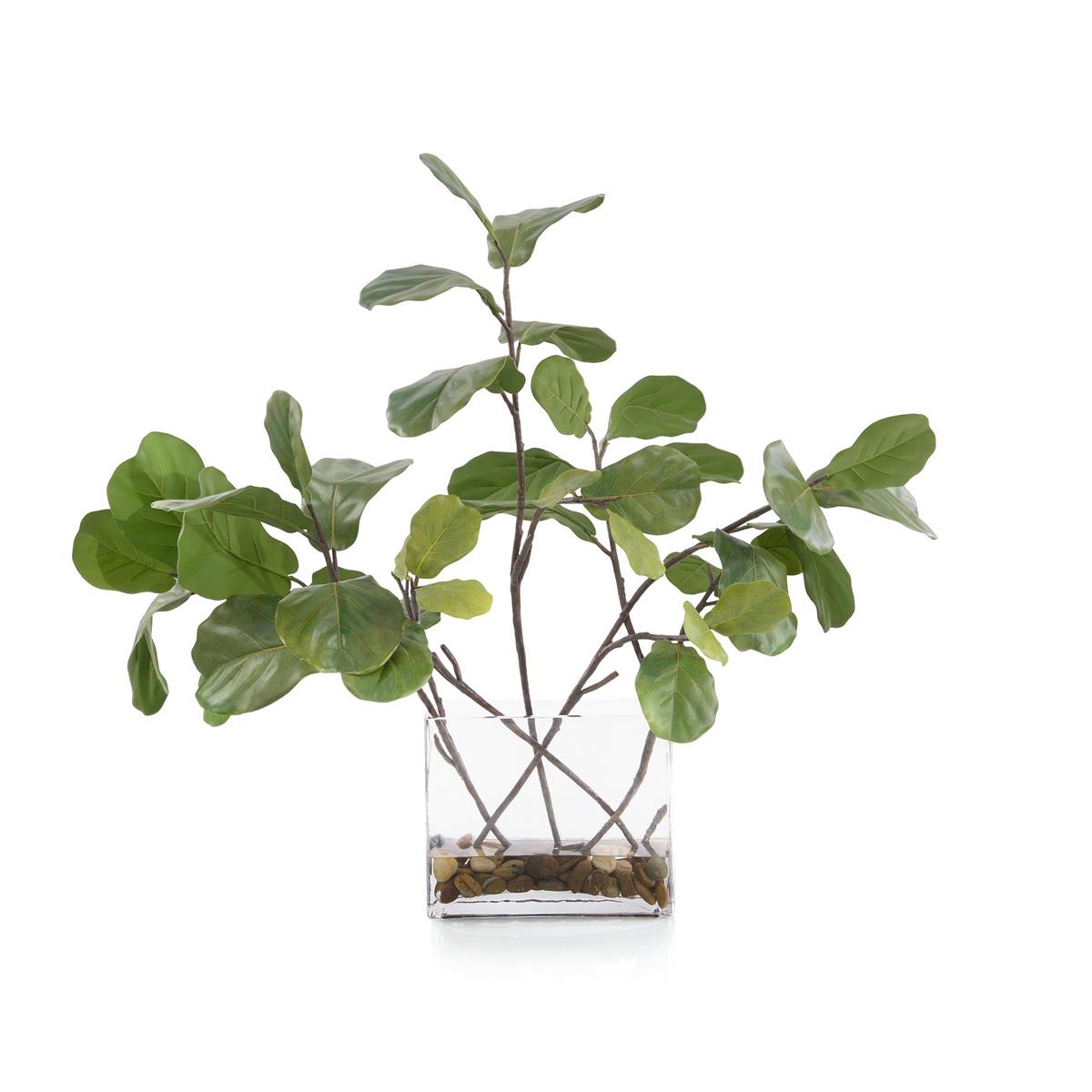 Garden Fig by John Richard | Sutter & Vale