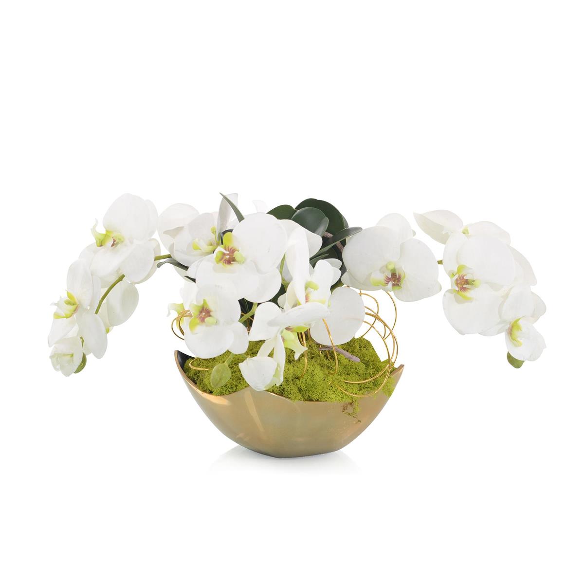 Fallen Orchids – Art by John Richard | Sutter & Vale