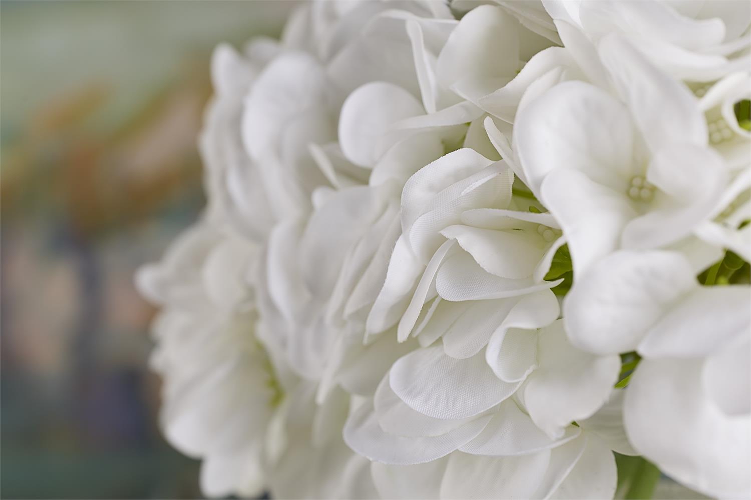 Simply White