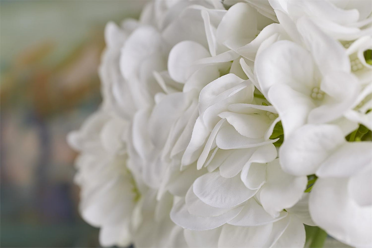 Simply White