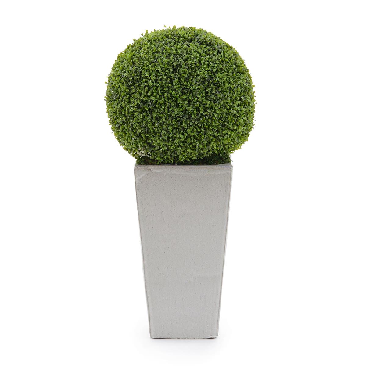 Boxwood Orb – Art by John Richard | Sutter & Vale