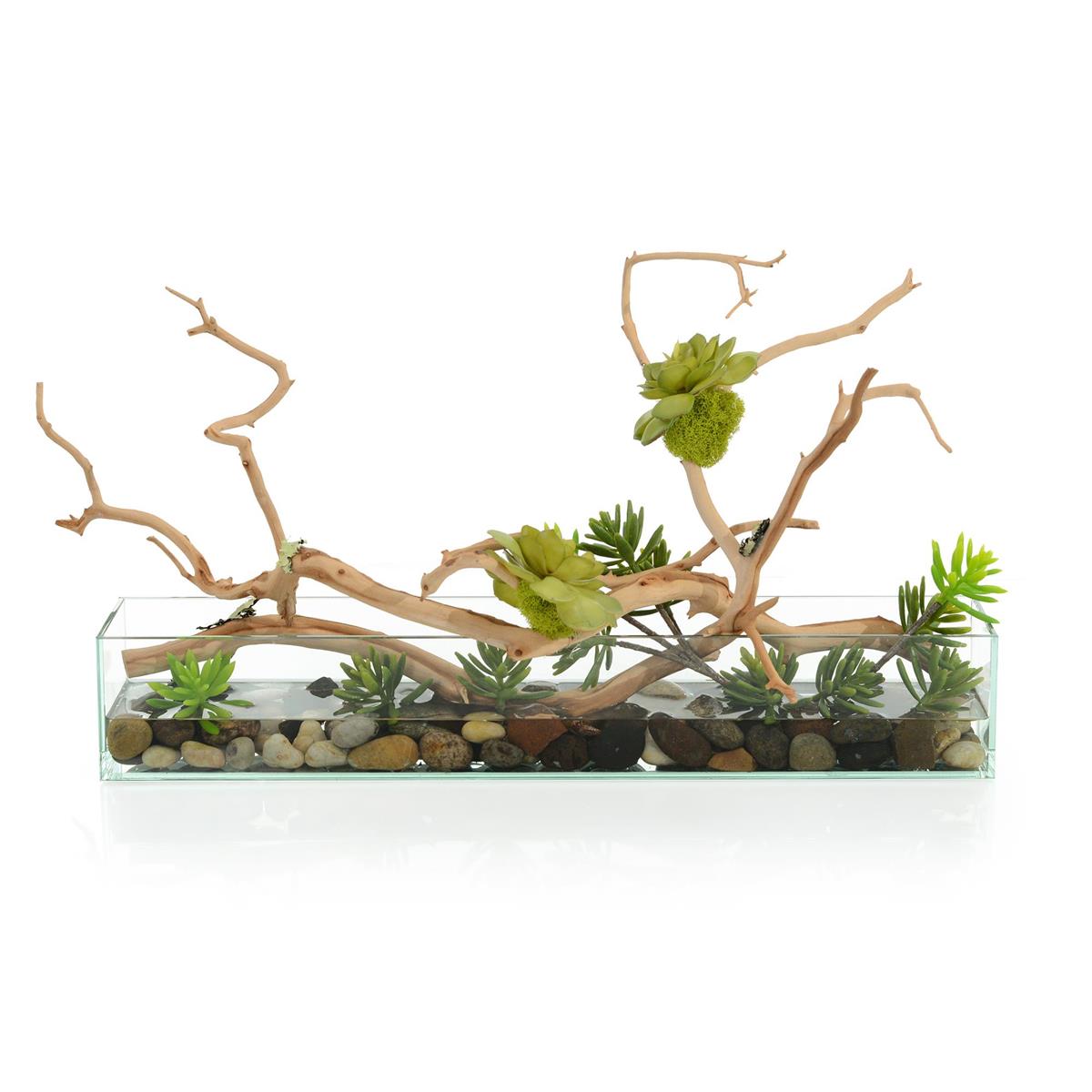 Succulent Tree – Art by John Richard | Sutter & Vale