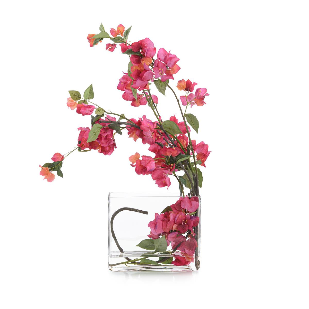 Sweet Bougainvillea – Art by John Richard | Sutter & Vale