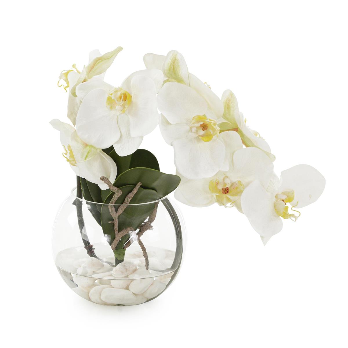 Aqua White Orchid by John Richard | Sutter & Vale
