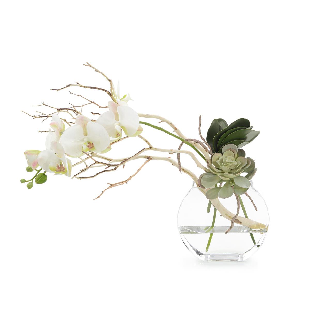 Blushing Pink Orchid by John Richard | Sutter & Vale