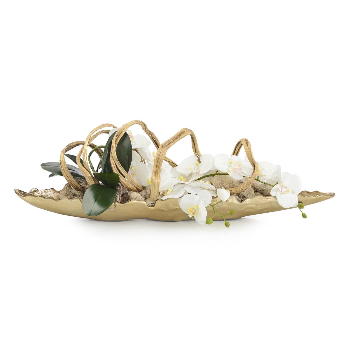 Curling Orchids by John Richard | Sutter & Vale