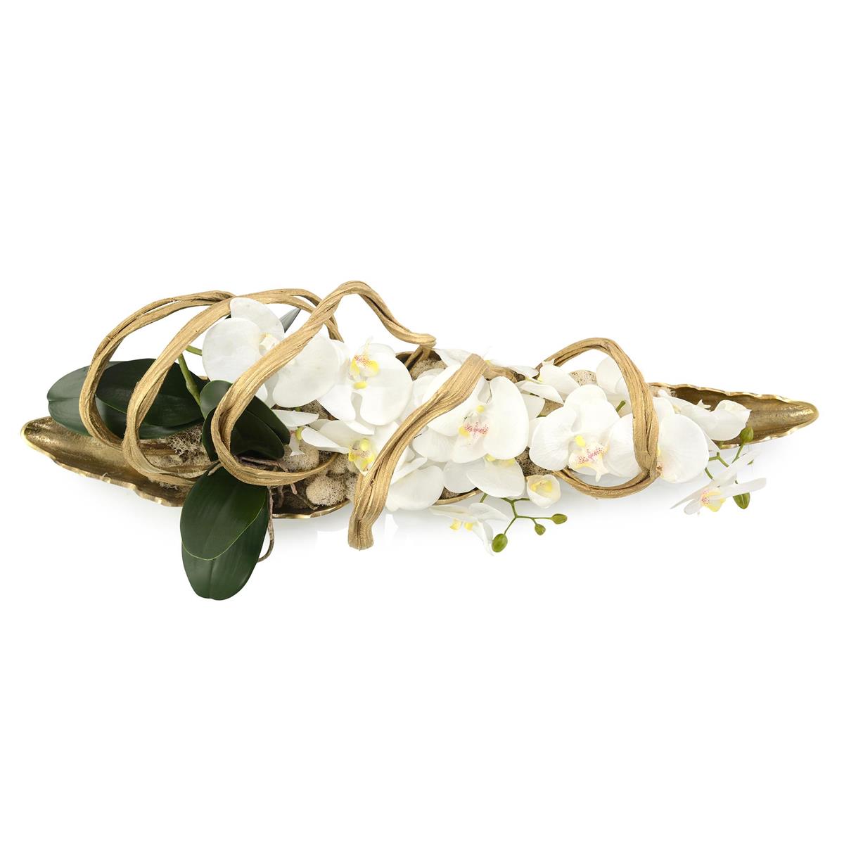 Curling Orchids by John Richard | Sutter & Vale