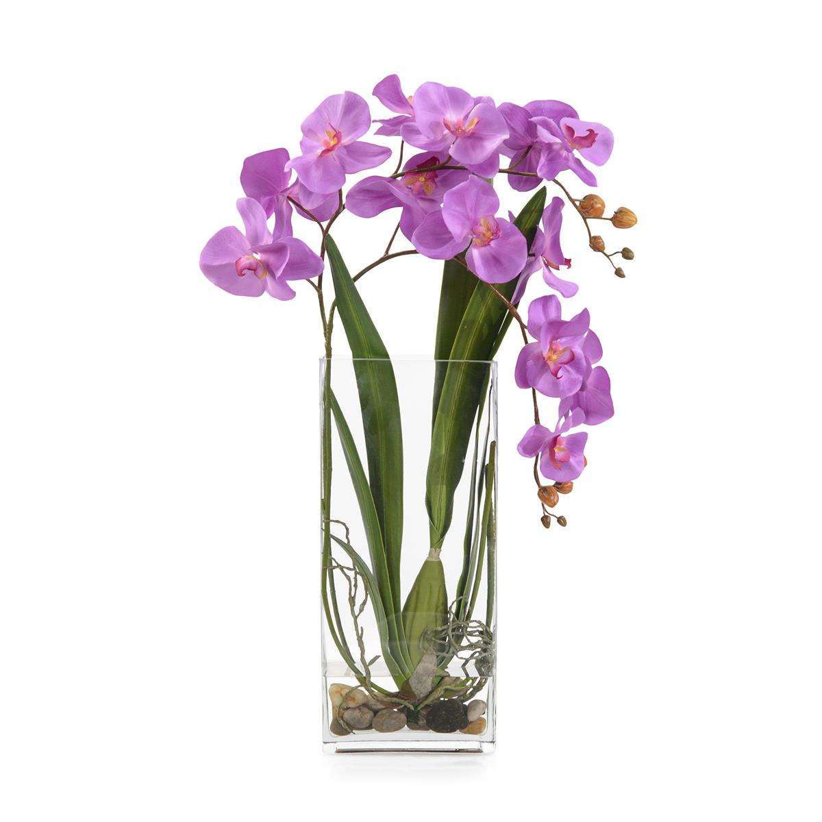 Deep Asian Orchid by John Richard | Sutter & Vale