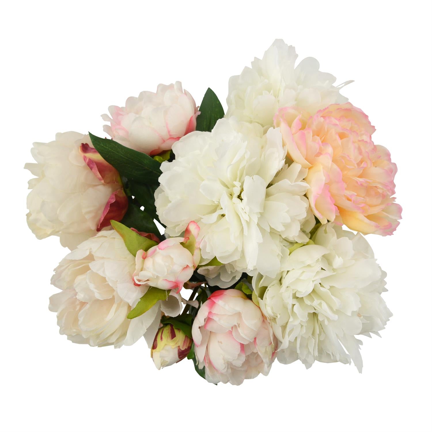 Peonies